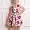 Kids-Clothing * | Hearts & Roses Kids Hazel Floral 50'S Swing Dress Ivory